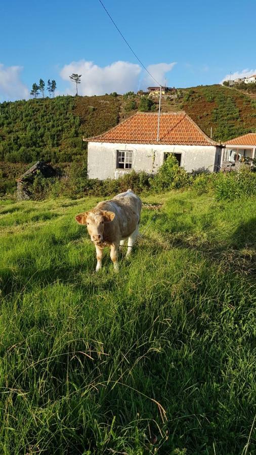 Casa Benedita Ponta do Pargo Eksteriør bilde